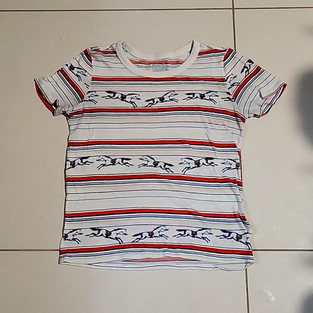 BDG vintage stallion tshirt